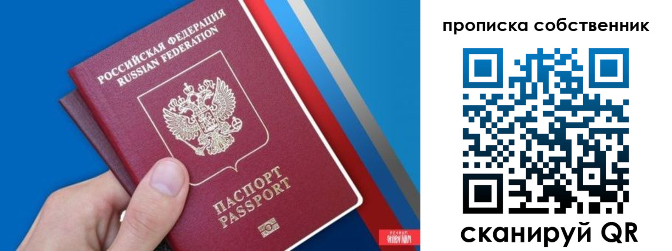 прописка в квартире в Сертолово